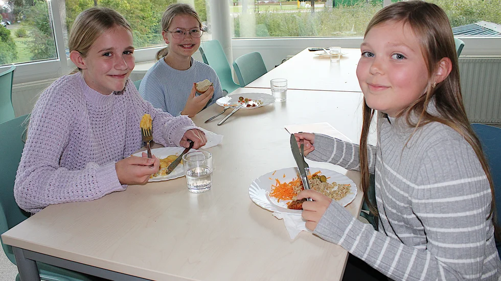 Tova Paju, Tyra Bergehed och Vera Nyström tyckte att krislunchen på Alléskolan var sådär. "Men bättre än att tugga i sig skalbaggar" var en av kommentarerna som fälldes.
