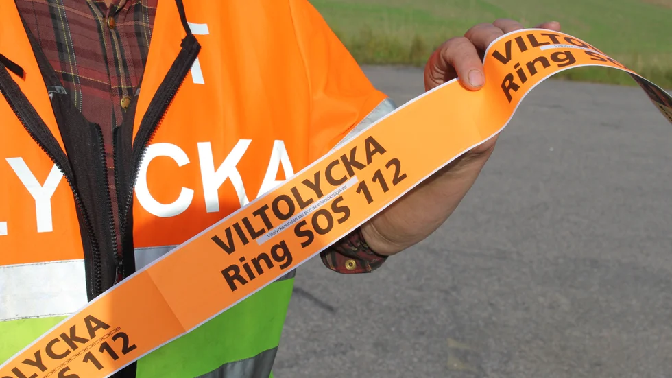 Flera viltolyckor inträffade under lördagen. 