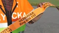 Viltolycka inne i samhället   