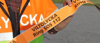 Viltolycka inne i samhället   