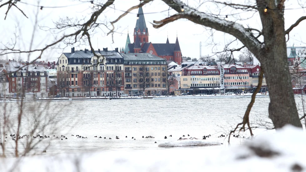 Linköpings stift, där även Västervik ingår, kan påverkas kraftigt av förslaget om att förändra skogsbruket.