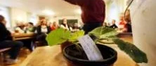 Växtauktion för välgörenhet