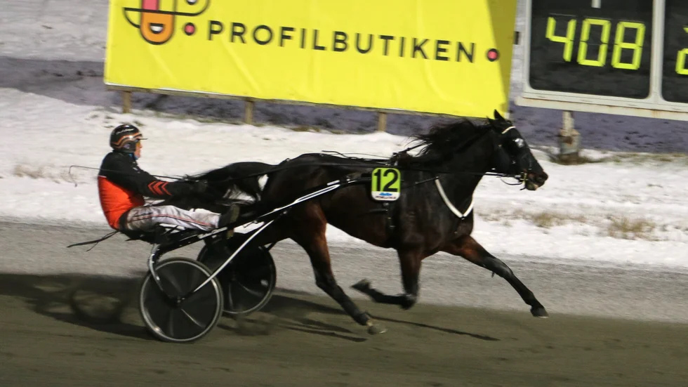 5-åriga Olly Håleryd (Ove A Lindqvist) imponerade enormt igen vid seger i GS75-6 på Bodentravet.