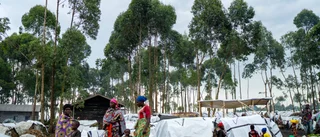 Rekordmånga på flykt i Kongo-Kinshasa