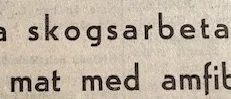 Ur PT:s arkiv: Insmugglade skogsarbetare anhölls av polisen