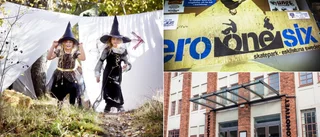 Här hittar du höstlovets gratisaktiviteter i Eskilstuna