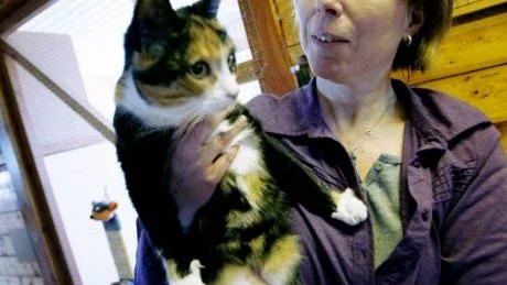 Sofia Skans på Katthemmet i Follingbo, här med katten Milly, välkomnar möjligheten att kremera husdjur. Många efterfrågar det, säger hon.