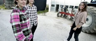 De ger tips över generationerna