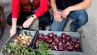 Gotländskt. Susanne Welin-Berger, LRF, och Frans Brozén, lantbrukare, Fårö, visar upp gotländska ekologiska produkter. Susanne och Frans tror att obligatorisk ursprungsmärkning och en mer ansvarsfull offentlig upphandling kan få fart på tillväxten.