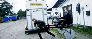 Skrubbs kan få hästhotell