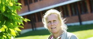 Skev bild av jämställdheten
