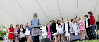 Sommarlovet hägrar