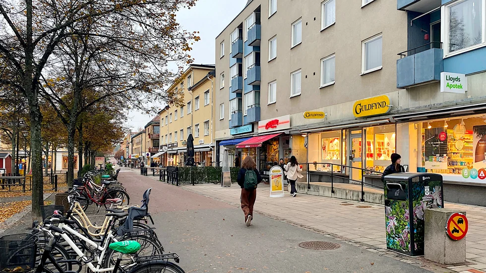 Detaljhandeln förändras och de små butikerna blir allt färre i städerna. ”Det är en omdaning av städernas centrum oavsett vi vill det eller inte”, säger Anna Holmström, näringslivchef vid Enköpings kommun.