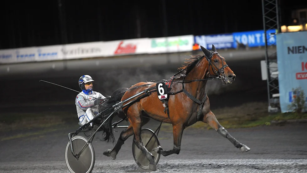 Kari Alapekkala bakom Torrent Dínverne vann den första avdelningen när Boden och Kalmar delade på V64-omgången.