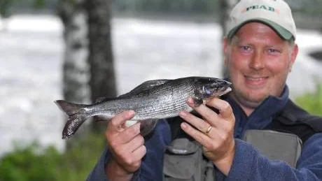 JONAS MED SEGERHARREN. Jonas Johansson från Kalix-Nyborg var en glad harrfiskare i lördags kväll. Hans segerharr vägdes in till 487 gram. Den var 35 centimeter lång. Den fångades i Kamlunge bara tio minuter innan tävlingstiden gick ut. Foto: ROLAND JOHNSON