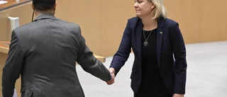 S famlar inför Tidösamarbetet 