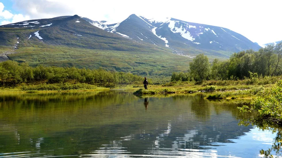 MELLAN BERGEN. Jokken var drömmen om det rätta fisket.