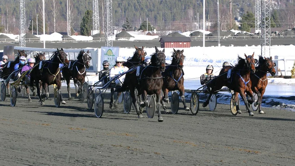 Superskrällen. 100-oddsaren Ballroomdancer mot seger före Fast Pay.