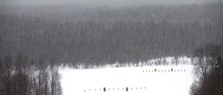 Skräll i Tornedalsrallyt