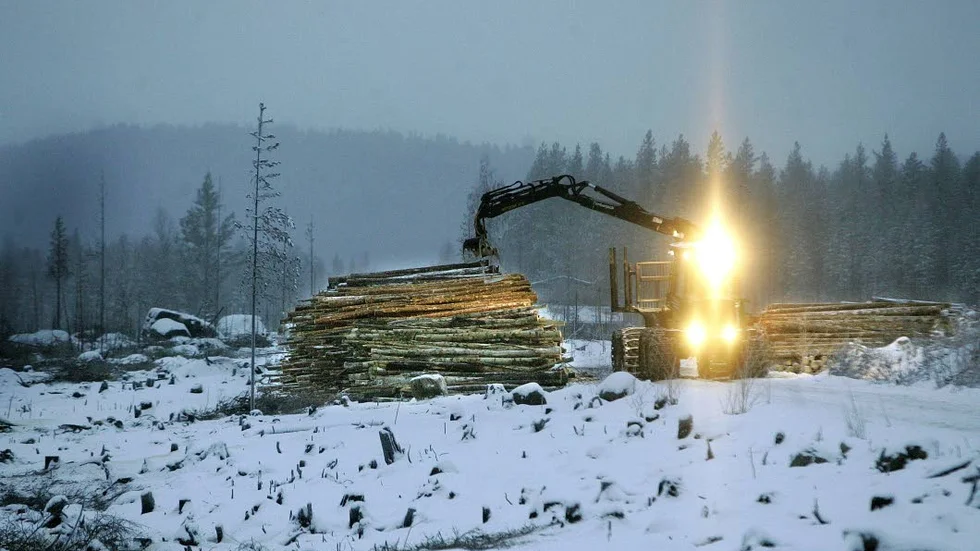 "Det ligger inte i vårt intresse att överavverka eller ta ut för stora volymer. Sveaskogs skogsbruk på 1960-, 70-, och 80-talet präglades av väsentligt större uttag och större hyggen", skriver bolaget. Arkivbild.