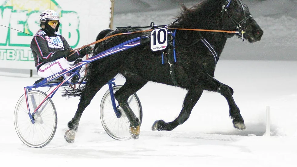 Tredje raka segern för femårige norskimporten Åsakjappen. Lätt vunnet i V64-3 med Ulf Ohlsson i sulkyn.