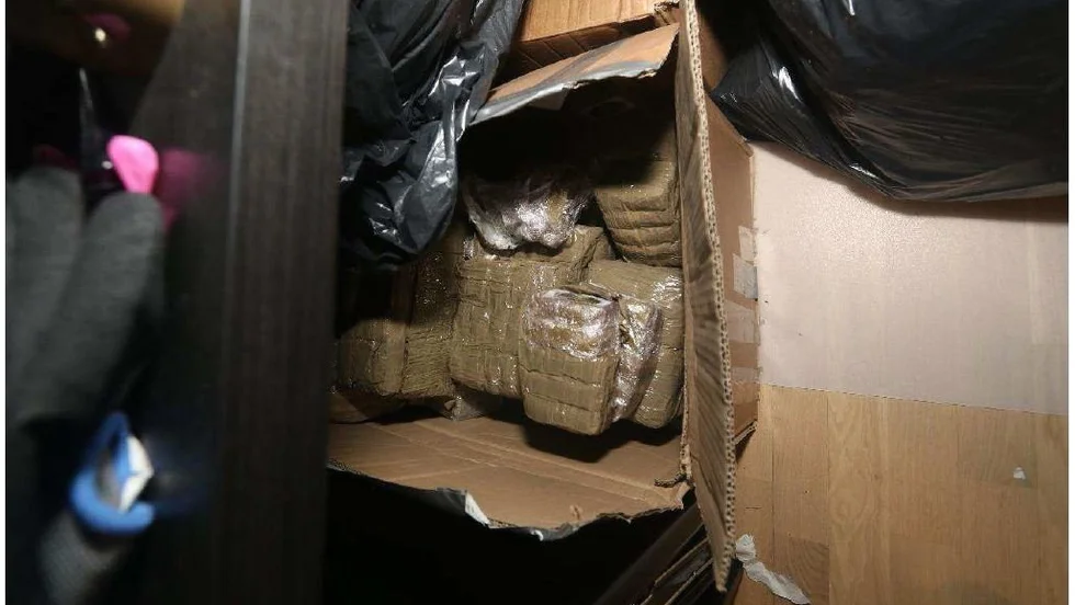 300 kilo narkotika hittades i lägenheten som hyrdes av den 19-åriga kvinnan.