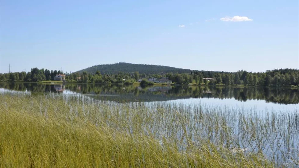 På norra sidan av Vassaraträsk finns 75 fastboende samt ytterligare fritidshus. Hushållen där har egen brunn och minireningsverk.