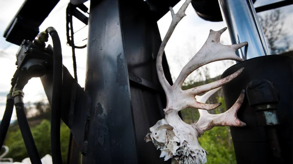 Järnvägsunderhållet innebär också att ta hand om renkadaver efter järnvägsrälsen.