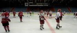 Allt ska granskas – av styrelsen