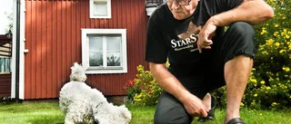 Björnfrossa i Kallax