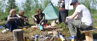Iron Mines skjuter upp arbetet