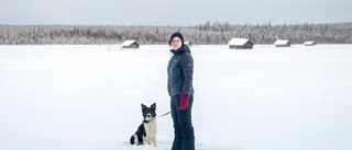 Besöksmålet kan växa igen • ”Som en kalldusch”