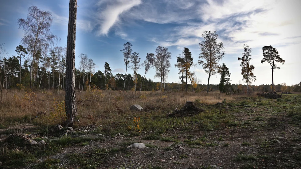 Här, i Sanda, precis vid kusten ska 18 nya boende ta form.