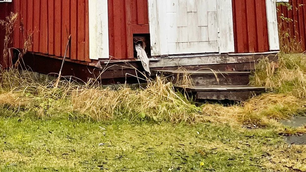 FMI har inte beslutat om att öppna något ärende på de uppgifter de fått. Annika Westin påpekar att om man uppmärksammat något som verkar konstigt kan man anmäla det till myndigheter så har de en skyldighet att titta på ärendet.