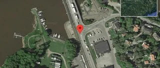 Rådjur på vägen på väg 56