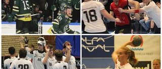 Största publikmatchen: Nu är Teg tillbaka - Publikligan i vinter, hockey, handboll, innebandy