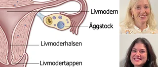 Provrör i brevlådan gör att fler cancertestar sig • Pandemin tvingade vården att tänka om • ”Det här räddar liv”