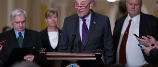 USA:s senat skyddar samkönade äktenskap
