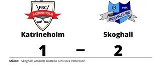 Förlust i förlängningen för Katrineholm mot Skoghall