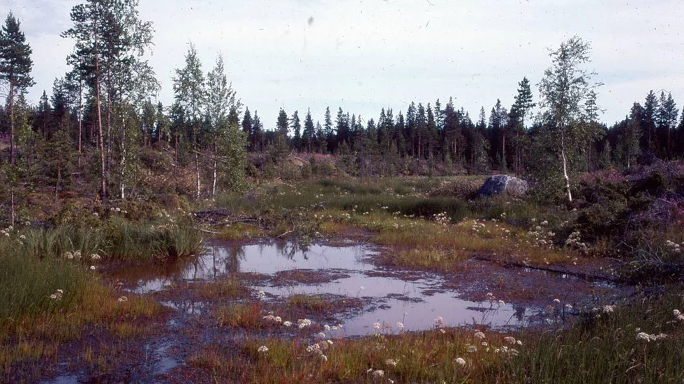 Idag är det mest bara survatten runt klockstenen. Långt därunder finns kanske kyrkklockan.