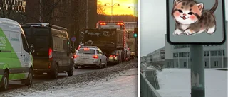 Skyltar sätts upp i centrum – för att minska trafikkaoset