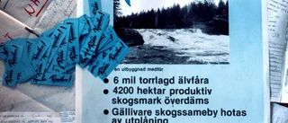 Råneälven – 30 år av frihet