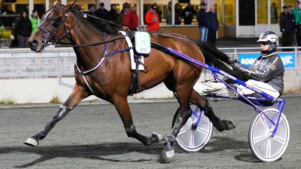 seger. 6-åriga stoet Rondine d´Asolo och Hanna Olofsson rundade konkurrenterna från dubbla tillägg i V64-1.