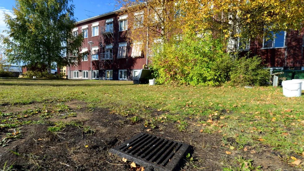 FÖRORENAD MARK. Det är i och runt omkring den här dagvattenbrunnen vid gamla skolan i Svartbyn som en okänd mängd olja har släppts ut. Just nu används skolan av bärplockare.