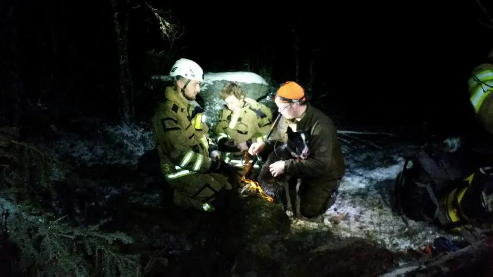 RÄDDAD. Hunden Raja är ute efter att ha varit instängd i en grotta i åtta timmar. Här vilar hon ut i Erik Johanssons famn.