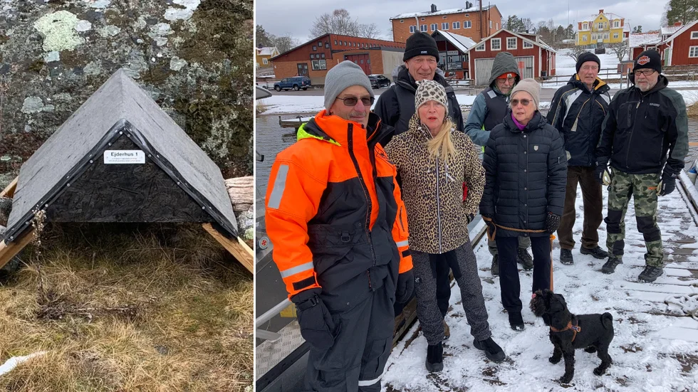 Medlemmar från Loftahammar Båtsällskap har byggt ejderhus som ska skydda fågeln under häckning. Från vänster: Willy Lindström, Bertil Nordenberg, Ping Sidbo, Lars Hård, Ulla Lindström, Göran Karlsson och Larsa Sidbo.