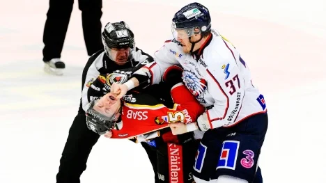Luleå hockey - Linköping.
