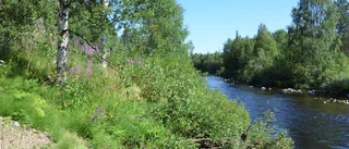 Var rädd om centrumnära grönområden
