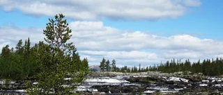 Afasiföreningens sommarresa till äventyret
