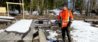 Skadad skog avverkas – på grund av skalbagge